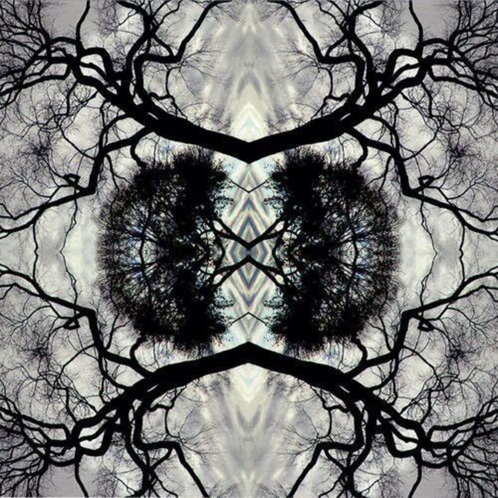 Adam Rudolph - Sonic Mandala Go: Organic Orchestra  LP LP